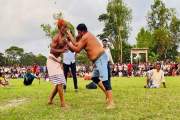 জমজমাট বলী খেলা: অর্ধশত বলীর লড়াইয়ে প্রাণ ফিরে পেল গ্রামবাং…