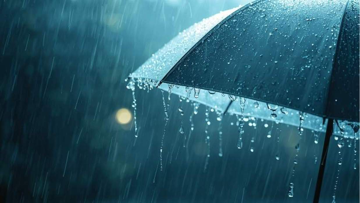 প্রতীকী ছবি