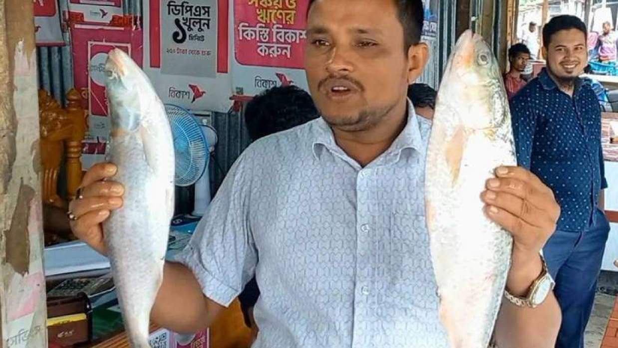 এই দুটি ইলিশ ১০ হাজার টাকায় বিক্রি হয়