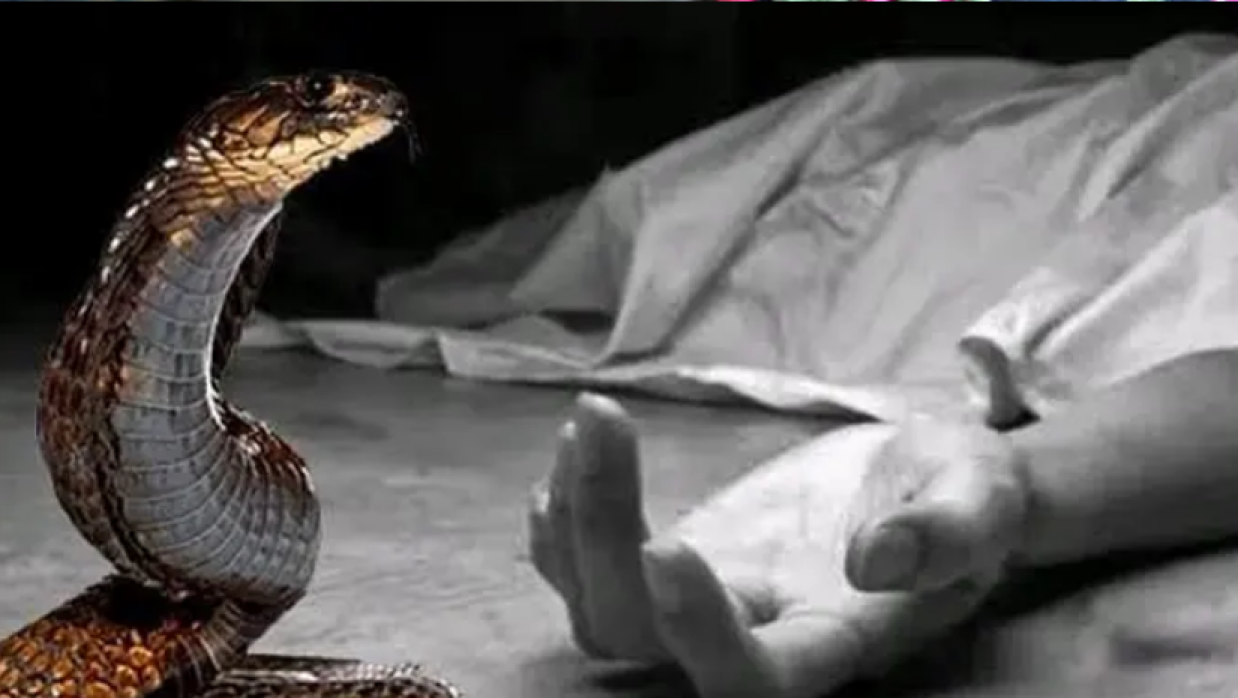 প্রতীকী ছবি
