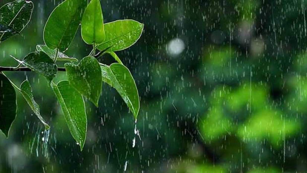 বৃষ্টি 