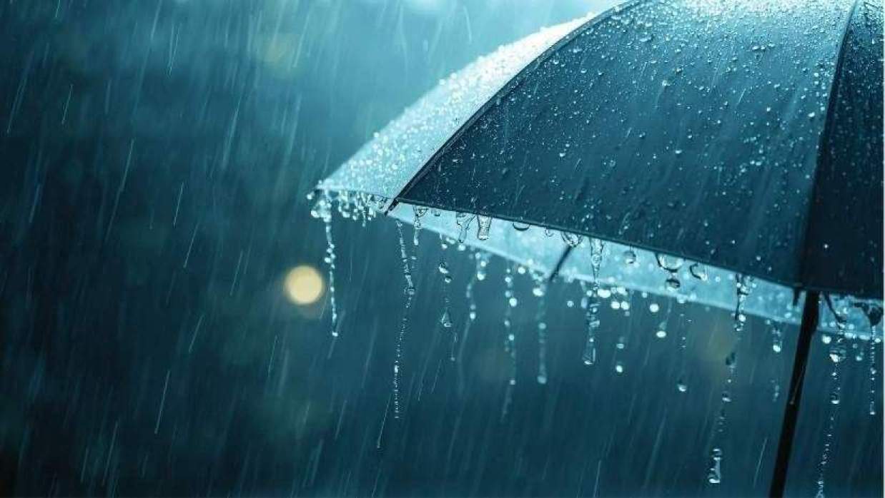 প্রতীকী ছবি