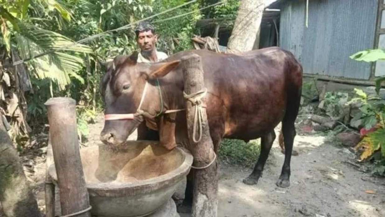 জমিদার