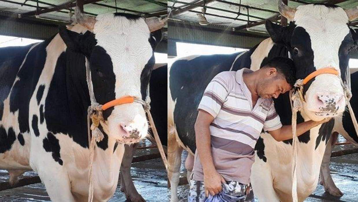 ৩৩ মণের ‘বাংলার ডন’