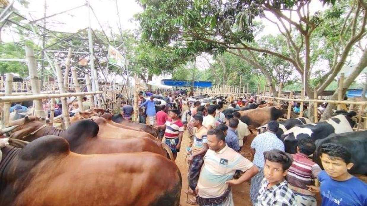 কোরবানির হাট