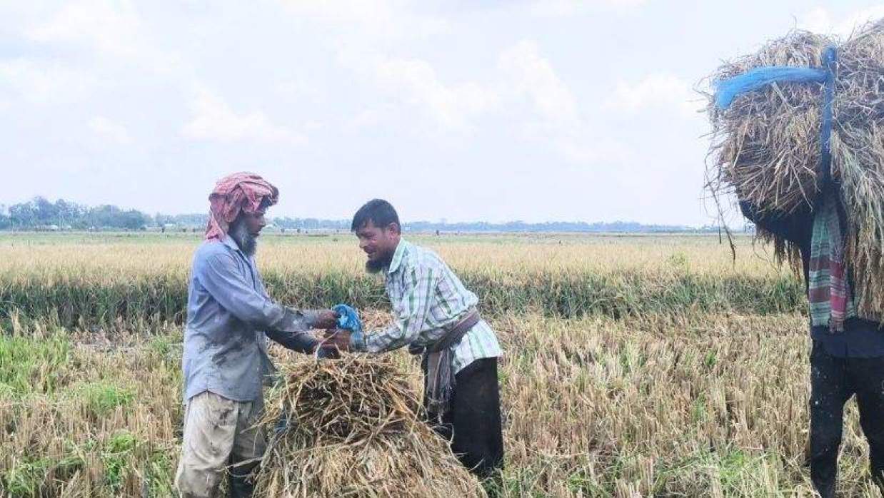 গোপালগঞ্জের টুঙ্গিপাড়া উপজেলার বালাডাঙ্গা গ্রামে