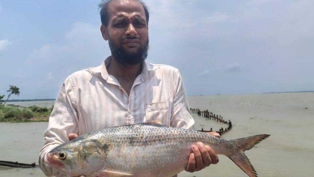 ২কেজির রাজা ইলিশ