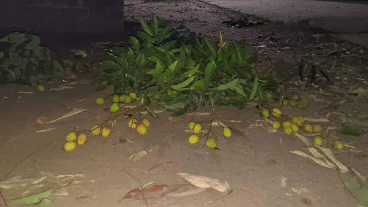 রাতের আঁধারে পাড়া নিচু