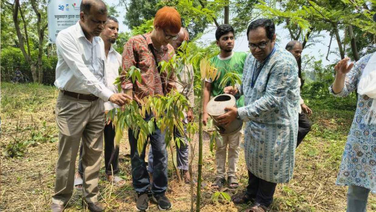 গাছ লাগানোর পর পানি দেওয়া হচ্ছে