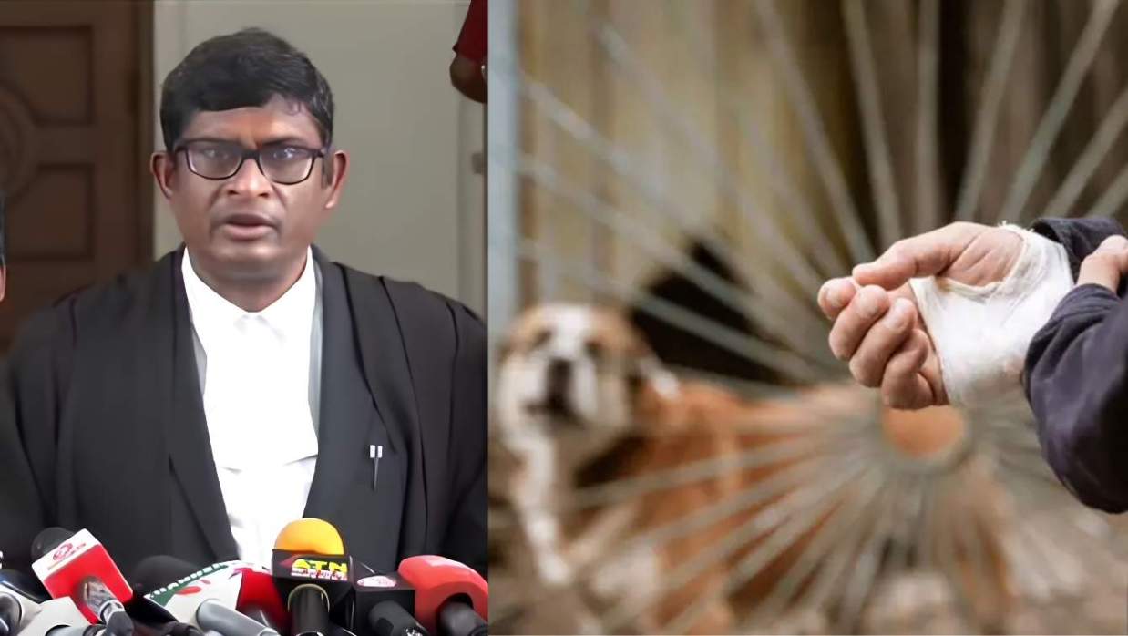 আদালতে রিটের পক্ষে শুনানি করেন ব্যারিস্টার শামীম হায়দার পাটোয়ারী