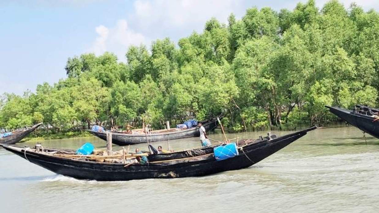 সুন্দরবন