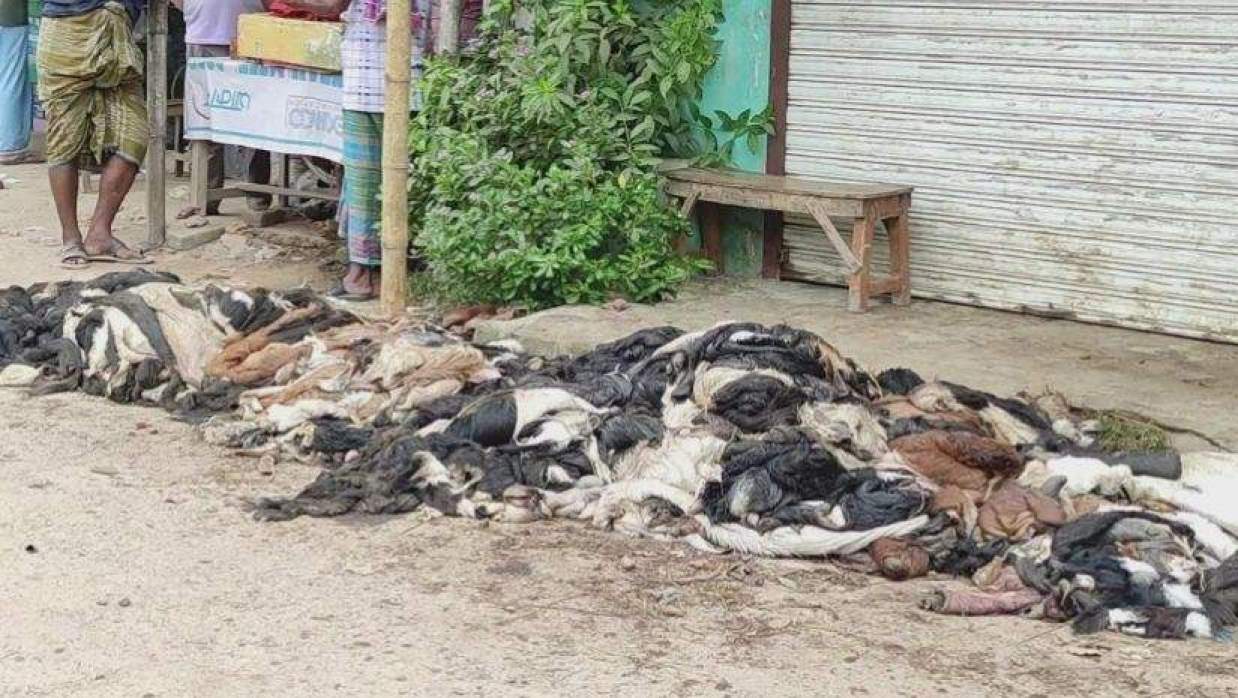 গরু-ছাগলের চামড়া