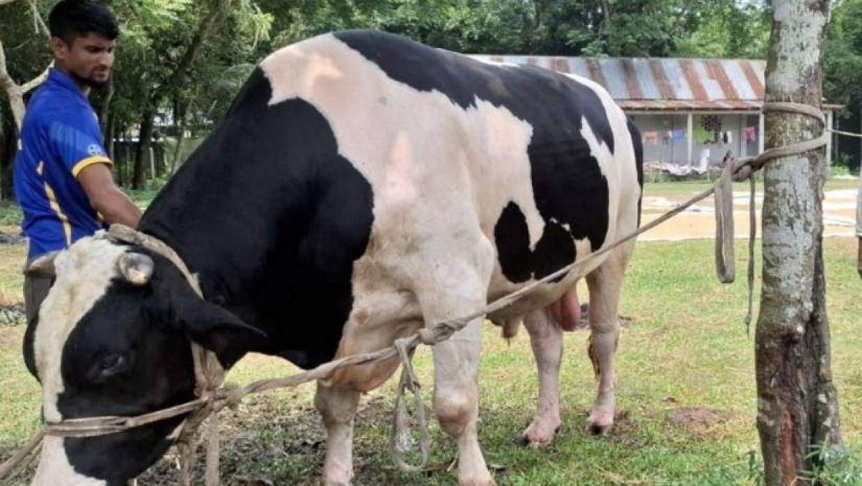 নেত্রকোনা সদর উপজেলার ফচিকা গ্রামে ‘ঈশা খাঁ’কে লালন-পালন করেন মালিক খায়রুল