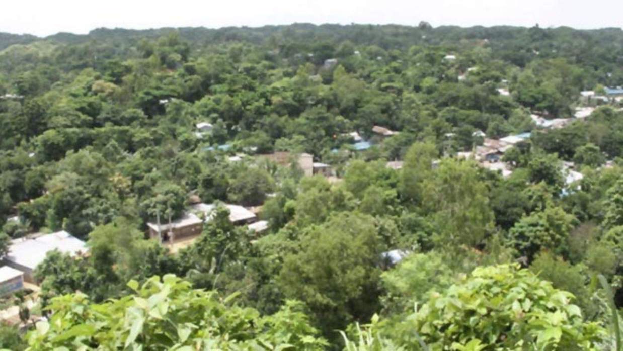 জঙ্গল সলিমপুর