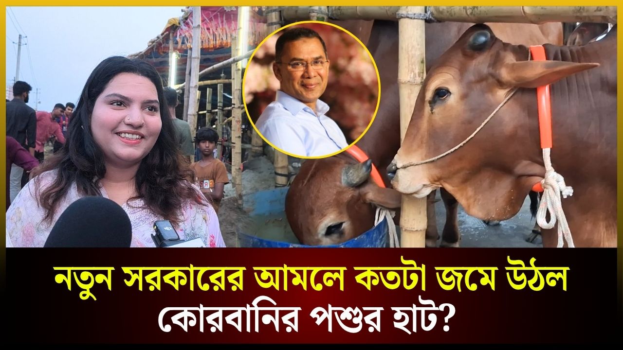 নতুন সরকারের আমলে কতটা জমে উঠল পশুর হাট 