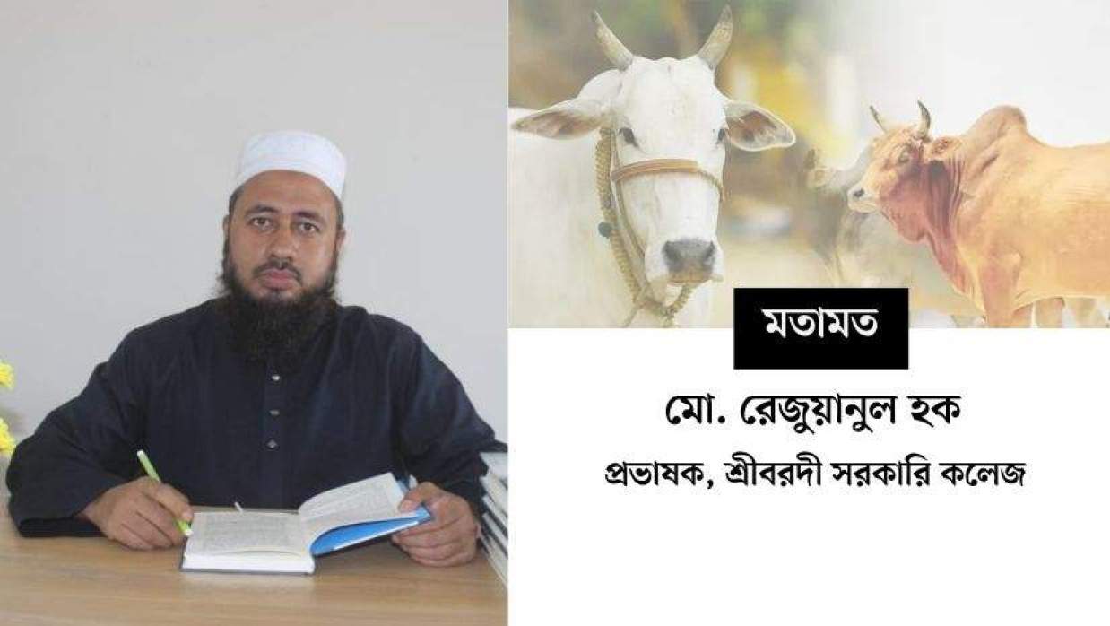 মো. রেজুয়ানুল হক 