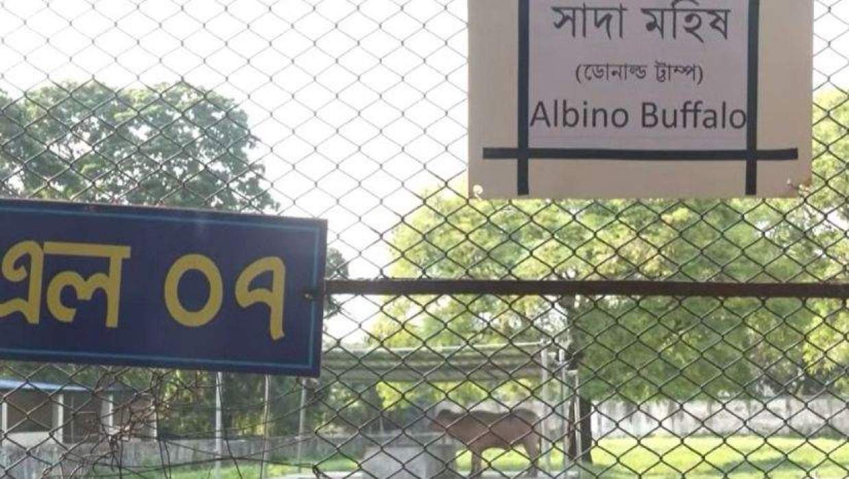 ‘ডোনাল্ড ট্রাম্প’ লেখার পরিবর্তে সেখানে লেখা হয়েছে ‘ডোনাল্ড ট্টাম্প’