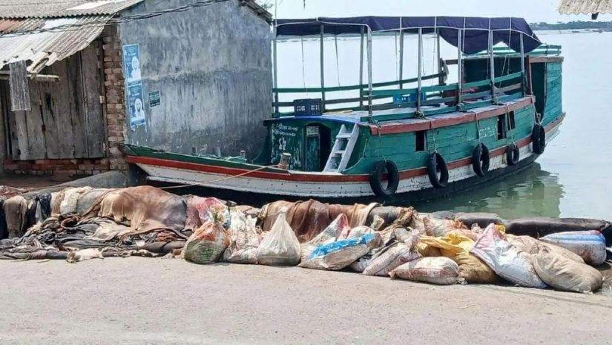 নদীর পাড়ে ফেলে রাখা হচ্ছে কোরবানির পশুর চামড়া