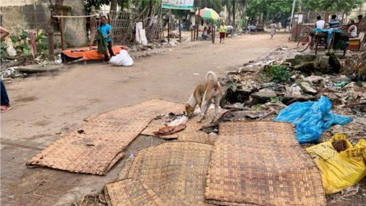  কোরবানির পশুর বর্জ্যে ছড়াচ্ছে দুর্গন্ধ