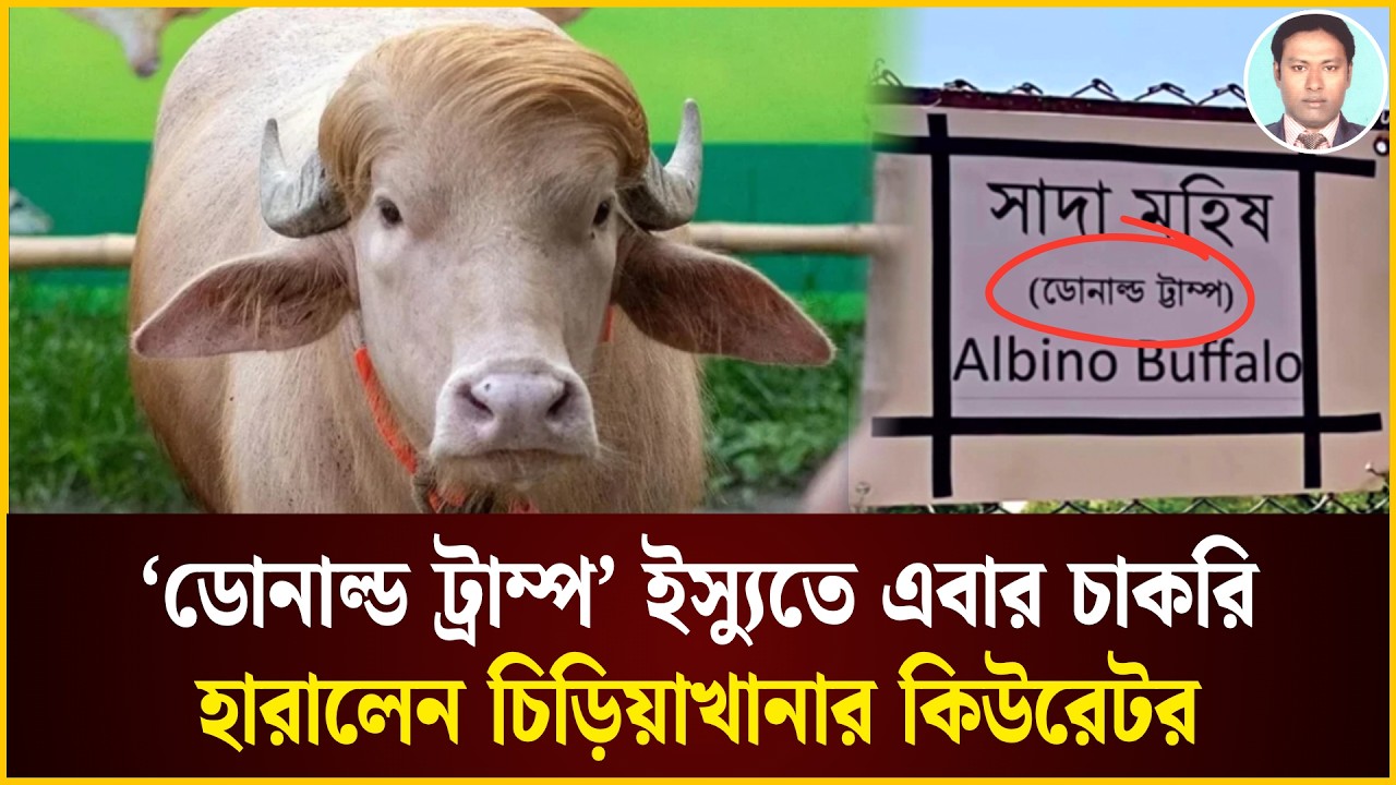 ‘ডোনাল্ড ট্রাম্প’কে নিয়ে মিরপুর চিড়িয়াখানায় কান্ড লেগেই আছে