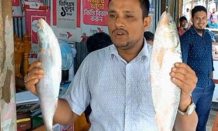 ভোলায় দুই ইলিশ ১০ হাজার টাকায় বিক্রি