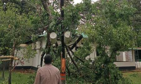 মিরসরাইয়ে কালবৈশাখীর তাণ্ডব, বিদ্যুৎ-বিচ্ছিন্ন ২০ হাজার পরিবার