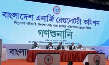 বিদ্যুতের পাইকারি দাম ২১ শতাংশ বাড়াতে চায় পিডিবি