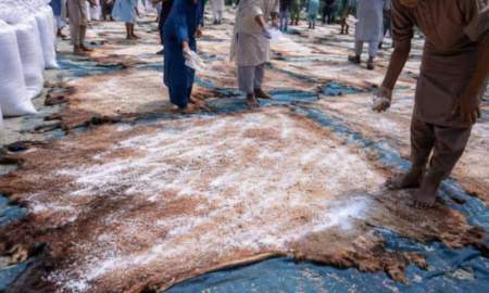 যশোরে চামড়া সংরক্ষণে বরাদ্দ ১৬৫ টন লবণ