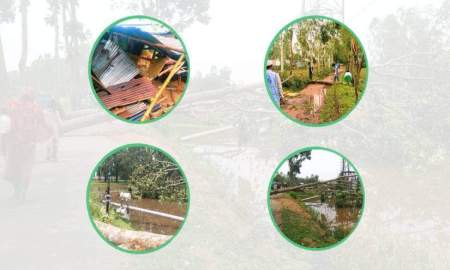 রান্নার সময় টর্নেডোর আঘাত, গাছচাপায় প্রাণ গেল বৃদ্ধার
