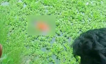 নিখোঁজ যুবকের মরদেহ ভাসছিল পুকুরে