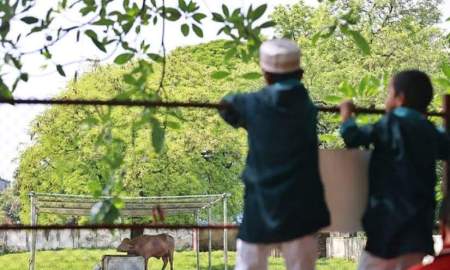 চিড়িয়াখানায় ‘ডোনাল্ড ট্রাম্প’কে দেখতে দর্শনার্থীদের ভিড়