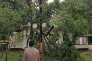 মিরসরাইয়ে কালবৈশাখীর তাণ্ডব, বিদ্যুৎ-বিচ্ছিন্ন ২০ হাজার পরি…