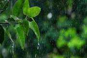দুপুরের মাঝে ৫ অঞ্চলে বজ্রবৃষ্টির পূর্বাভাস, নদীবন্দরে সতর্…