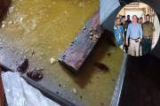 মিষ্টির উপকরণে মরা তেলাপোকা, ৫০ হাজার টাকা অর্থদণ্ড