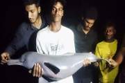বিষখালী নদীতে বড়শিতে ধরা পড়ল বিরল ডলফিন