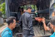 ছাত্রলীগের ঝটিকা মিছিল থেকে চারজনকে আটক করে পুলিশে দিল জনতা