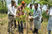 জাবিতে বৃক্ষরোপণ কর্মসূচির উদ্বোধন, ২১ হলে লাগানো হবে দুই হ…