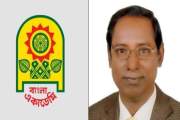বাংলা একাডেমির নজরুল পুরস্কার পাচ্ছেন ড. রশিদুন্ নবী