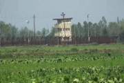 ভারতীয় চোরাকারবারিদের লক্ষ্য করে গুলি চালাল বিজিবি 