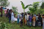 সকালেই সড়কে প্রাণ ঝরল ১৭ জনের