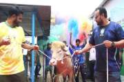 বিশ্বজুড়ে ভাইরাল বাংলাদেশের সেই ‘ডোনাল্ড ট্রাম্প’র রাজকীয় ব…