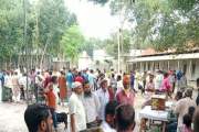 বালিকা উচ্চ বিদ্যালয় মাঠে ছাগলের হাট বসালেন যুবদল নেতা