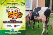 বিভিন্ন বিশ্ববিদ্যালয়ে শিবিরের কোরবানির আয়োজন, শিক্ষার্থীদে…