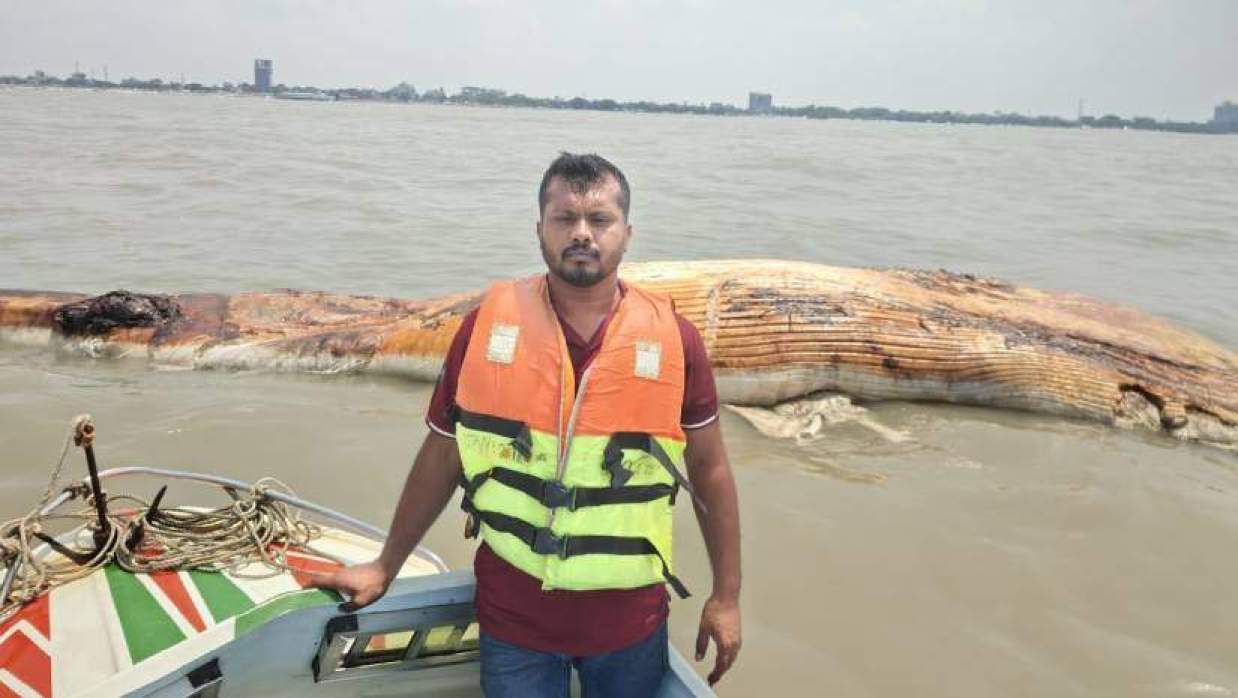কুয়াকাটা সমুদ্র সৈকতের জিরো পয়েন্ট থেকে প্রায় ২ কিলোমিটার গভীরে ভাসমান অবস্থায় রয়েছে তিমিটি 