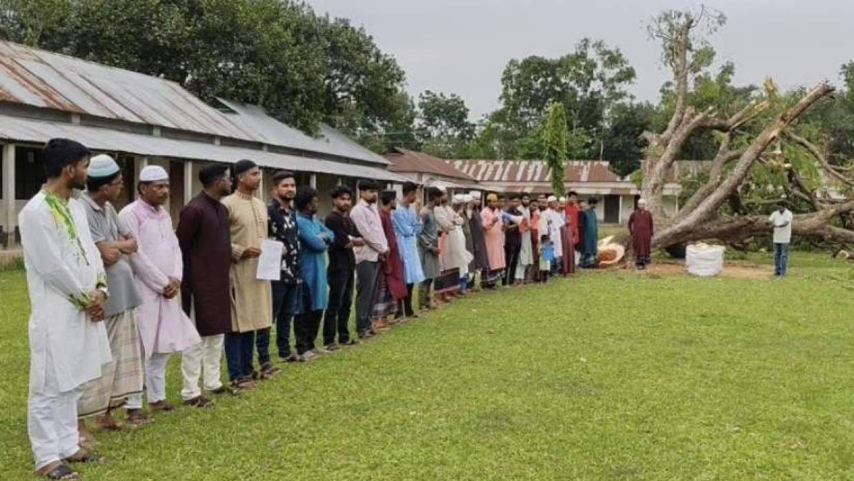 ভালুকায় একটি মাদ্রাসার  গাছ কাটার প্রতিবাদে মানববন্ধন