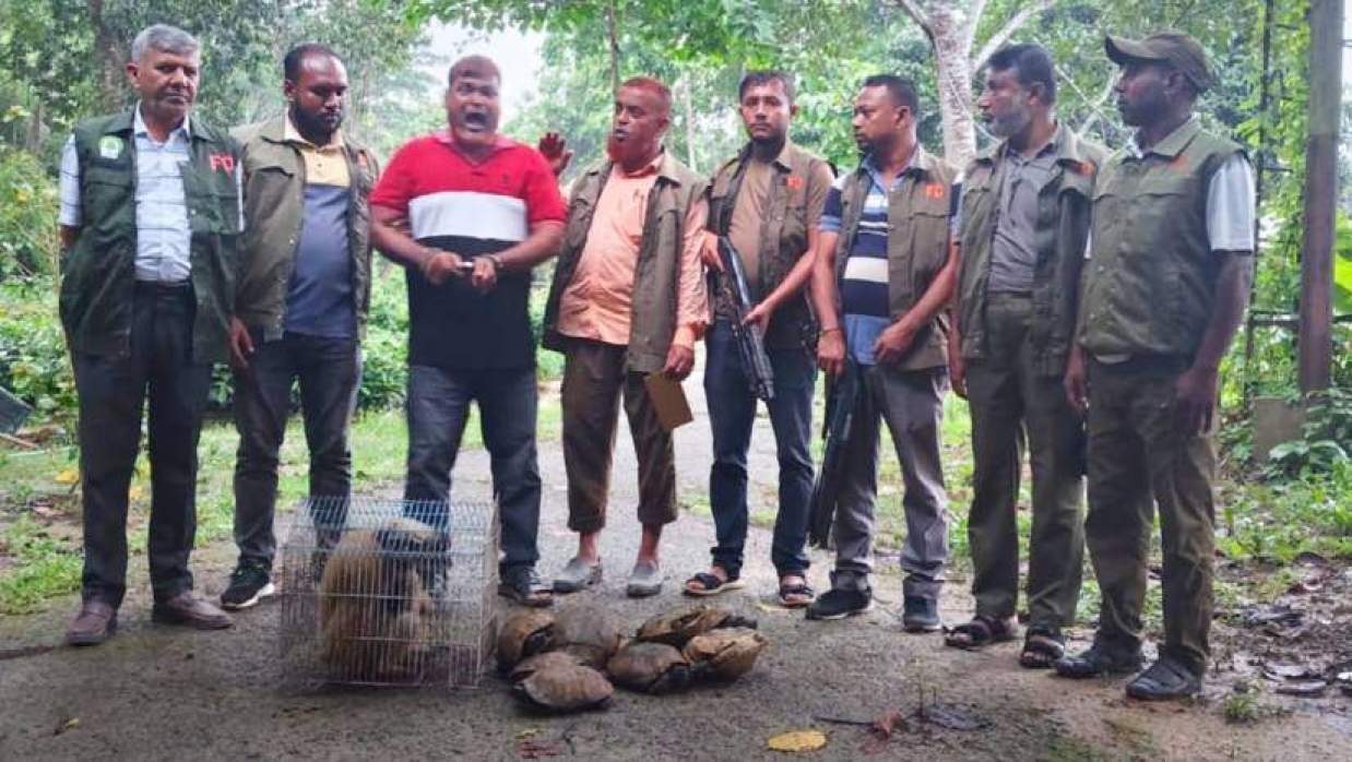 পাচারকালে উদ্ধার করা মুখপোড়া হনুমান ও ১২টি কচ্ছপ