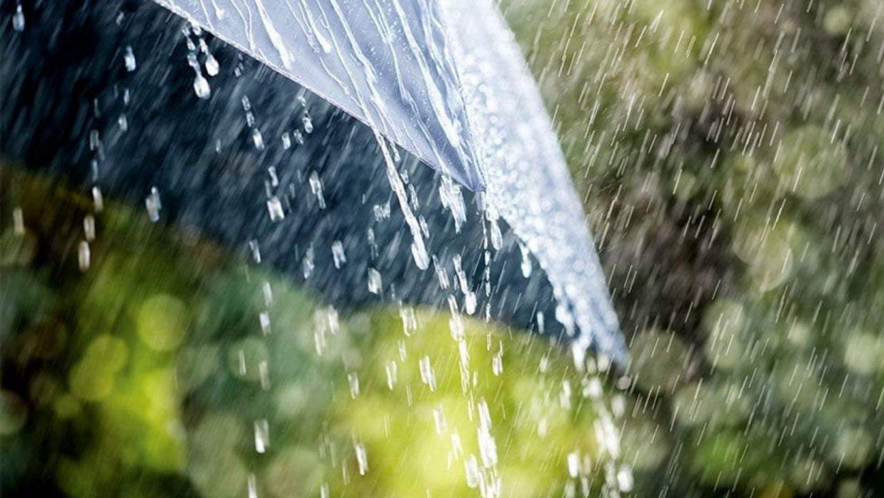 প্রতীকী ছবি