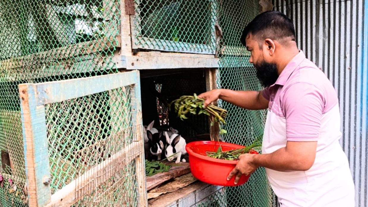 খরগোশের খামার পরিচর্যায় হুসাইন আহমেদ