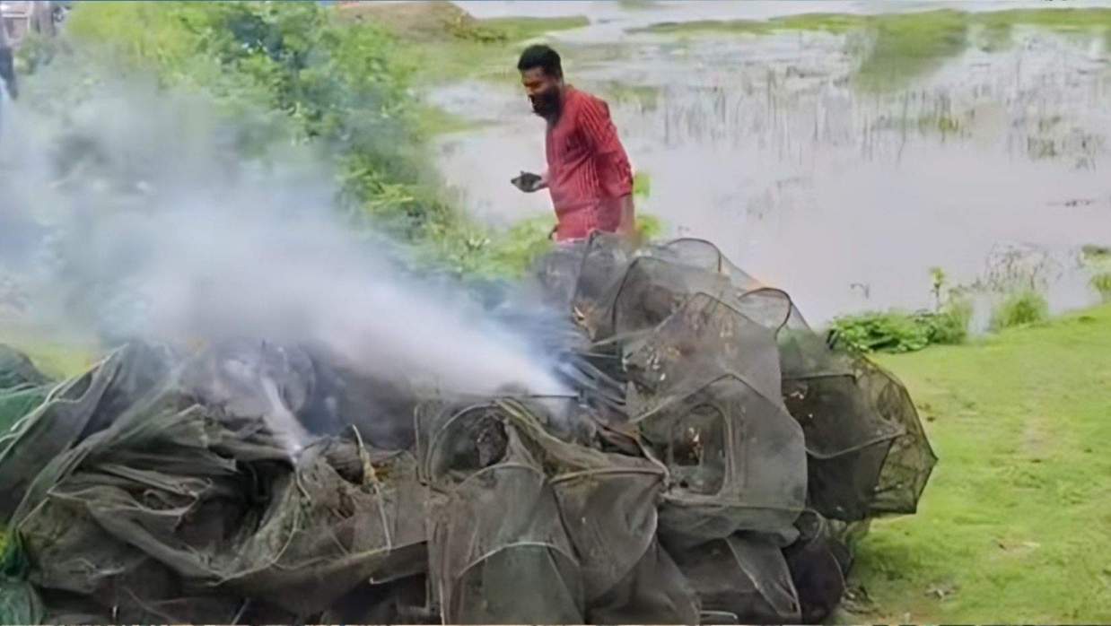 বিল থেকে তুলে পোড়ানো হলো ১ লাখ টাকার অবৈধ জাল 
