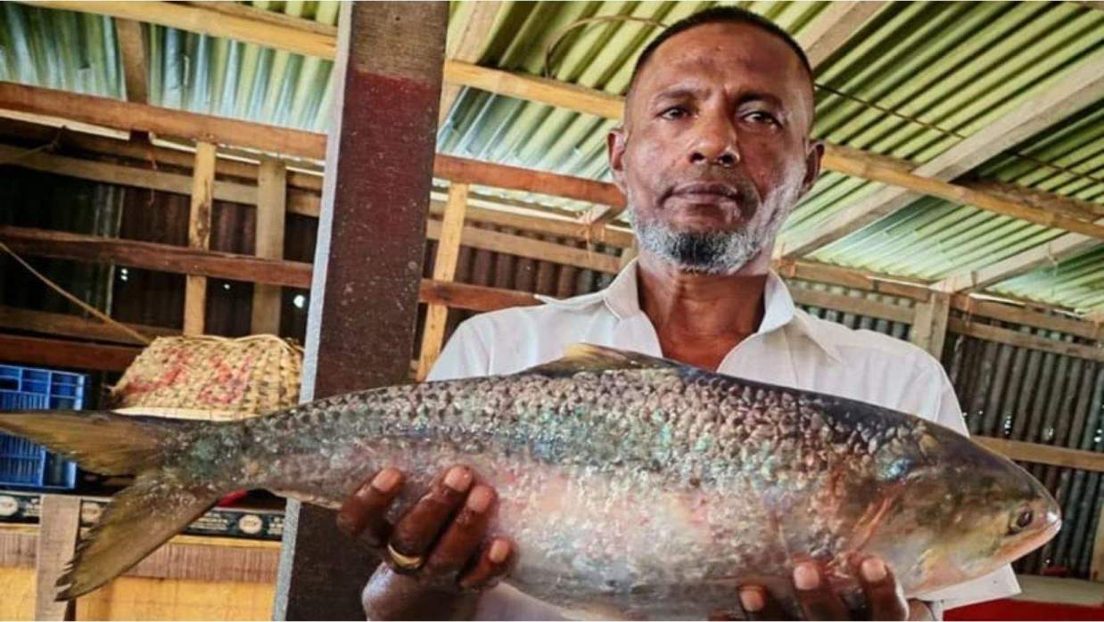 মেঘনার ‘রাজা ইলিশ’ বিক্রি হলো যত টাকায়